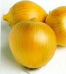 Seminte Ceapa Yellow Texas Grano